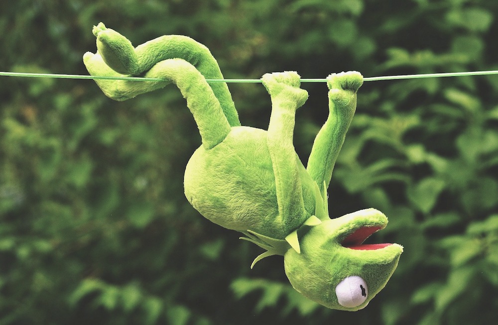 What Does Eat the Frog Mean? kermit the frog hanging onto a wire upside