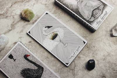 When is it Time to Redesign Your Website? three tarot cards laid out in a row, with swans on them