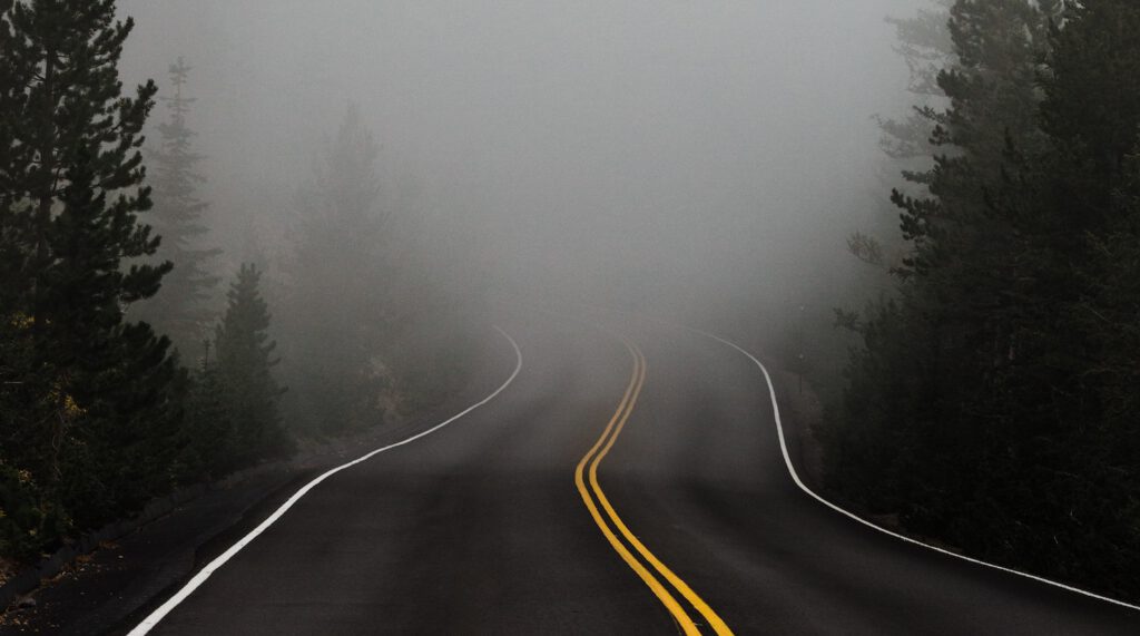 Dealing with Uncertainty: a road in the woods leading into the fog