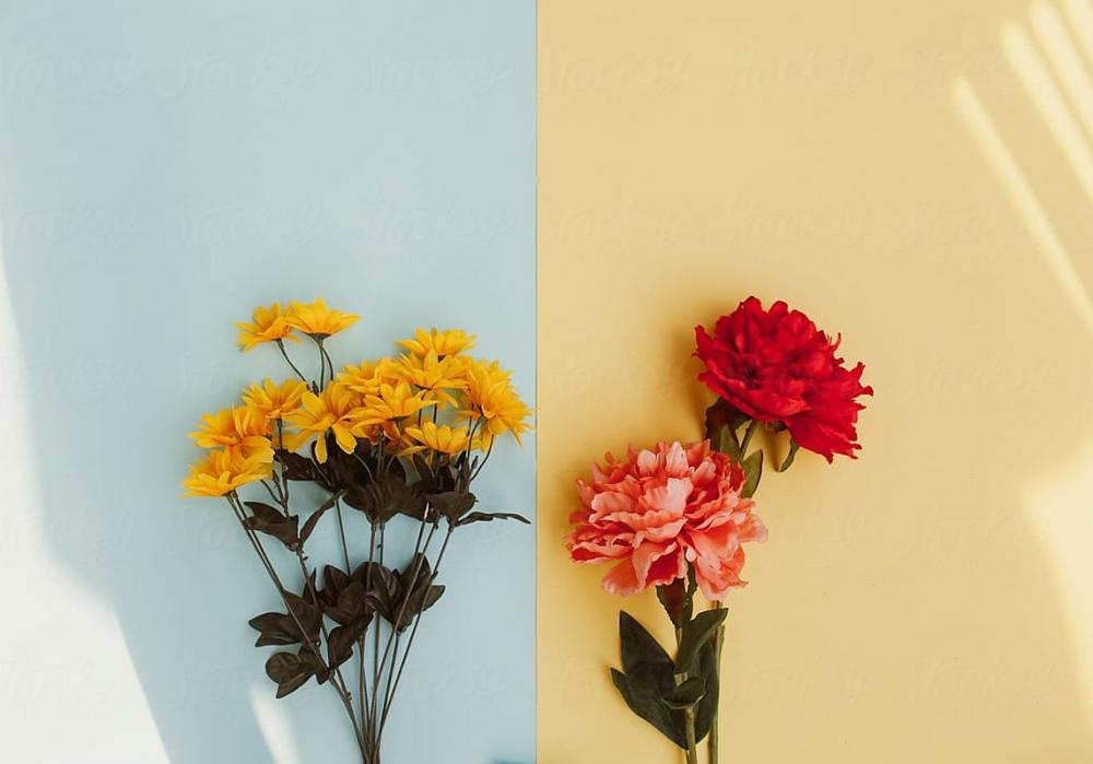 website makeover: two contrasting bouquets of flowers on two different colored backgrounds