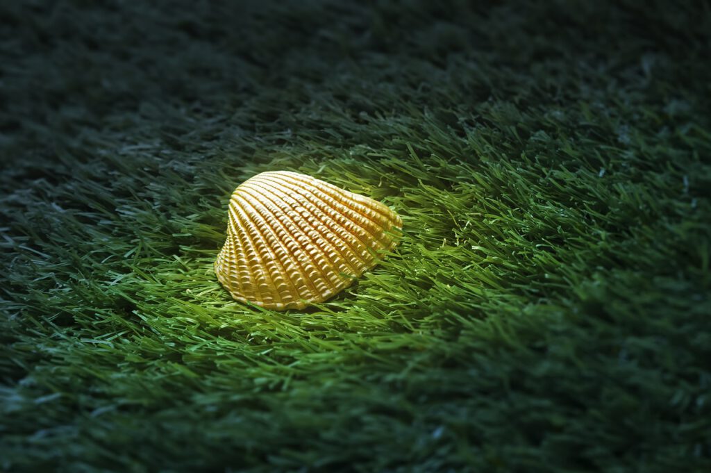 sea shell glowing golden in the grass