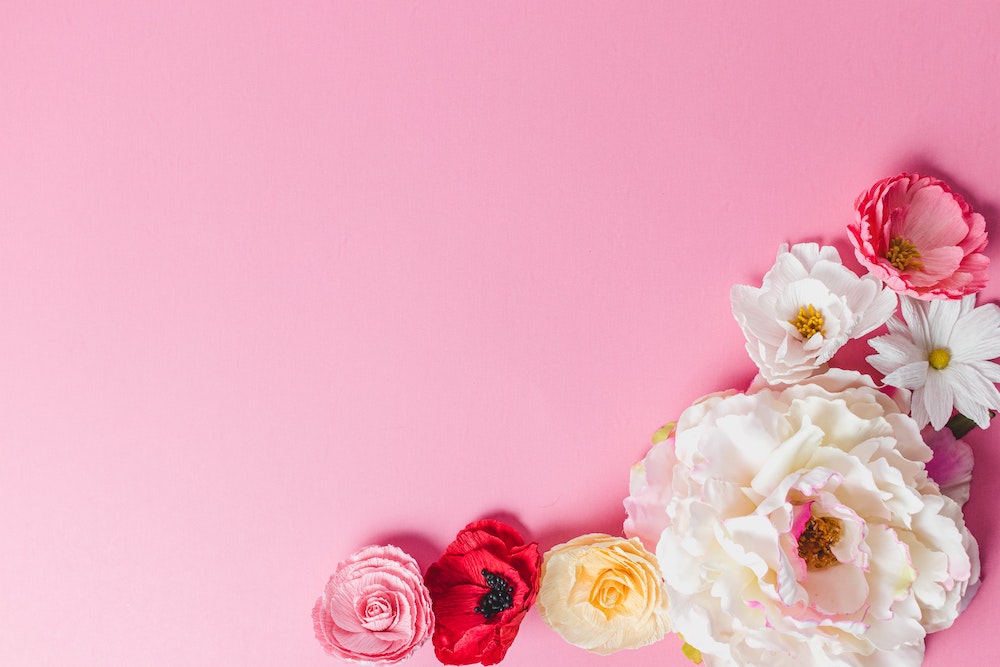 pink background with flowers