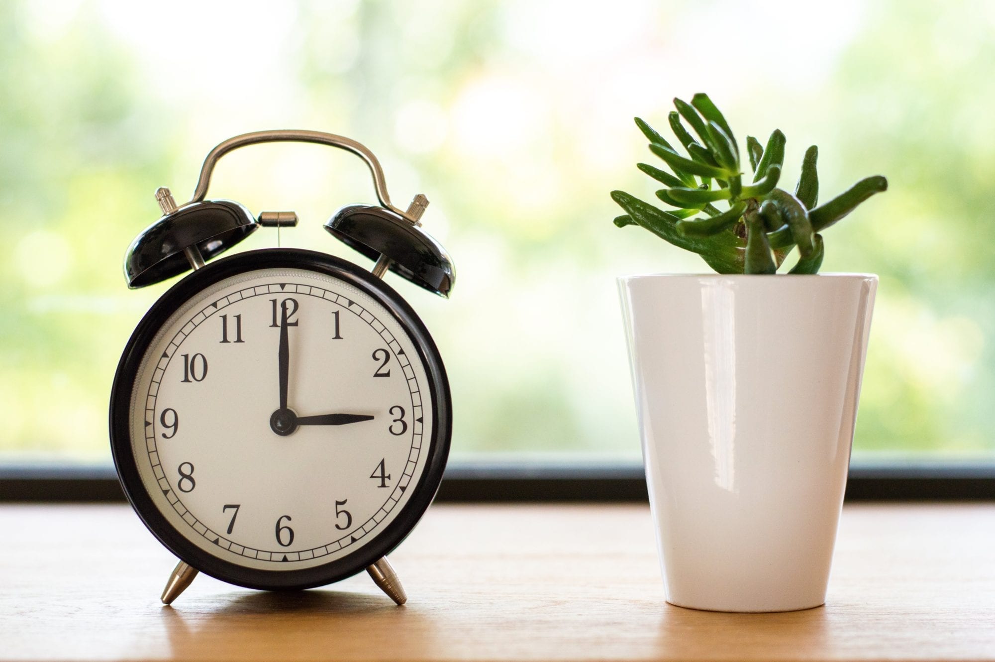 How to Work More Efficiently: alarm clock next to a succulent plant on a desk