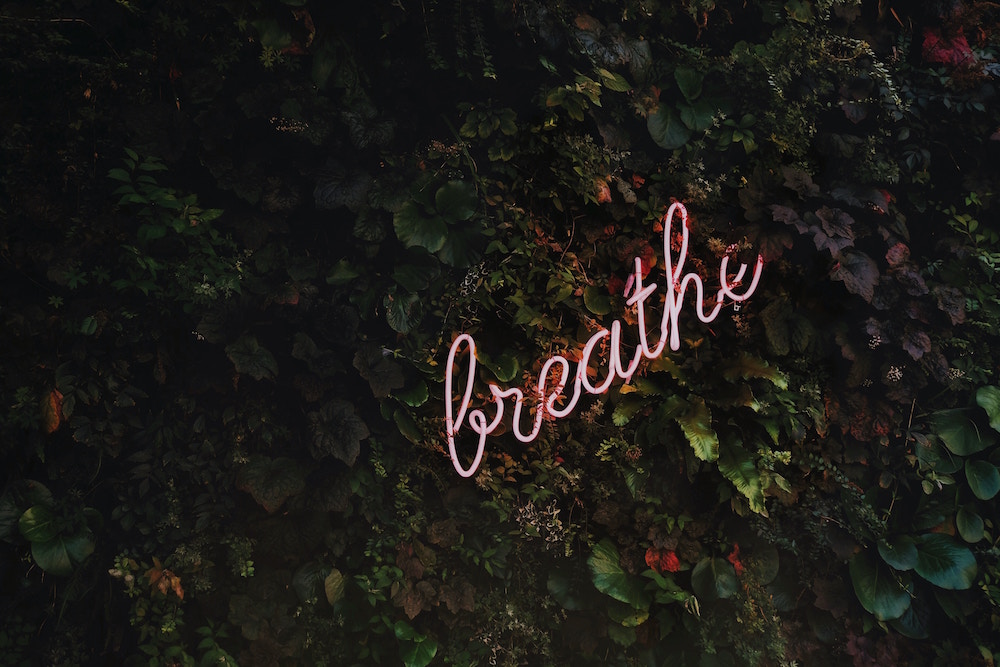 the word breathe in lights over an ivy covered wall