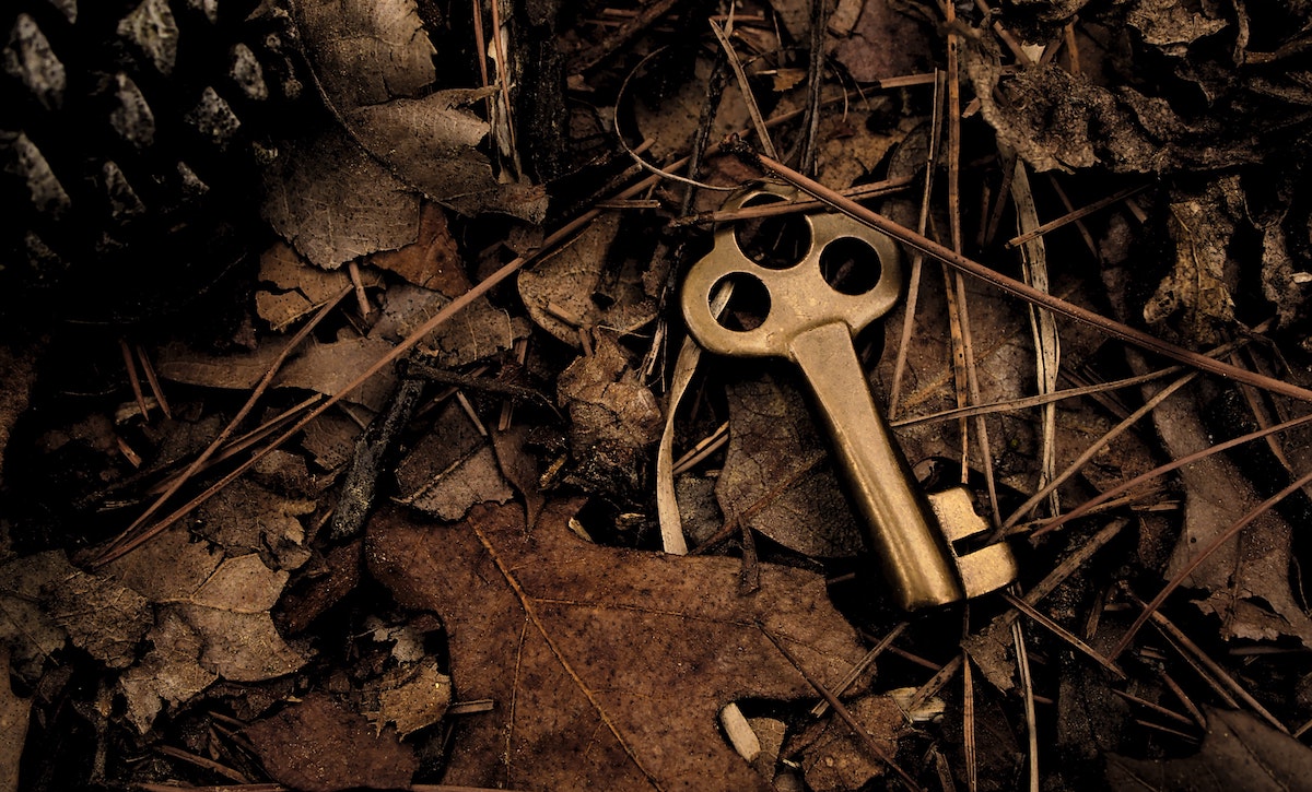 How to Generate More Leads From Your Website: a golden key buried in the leaves