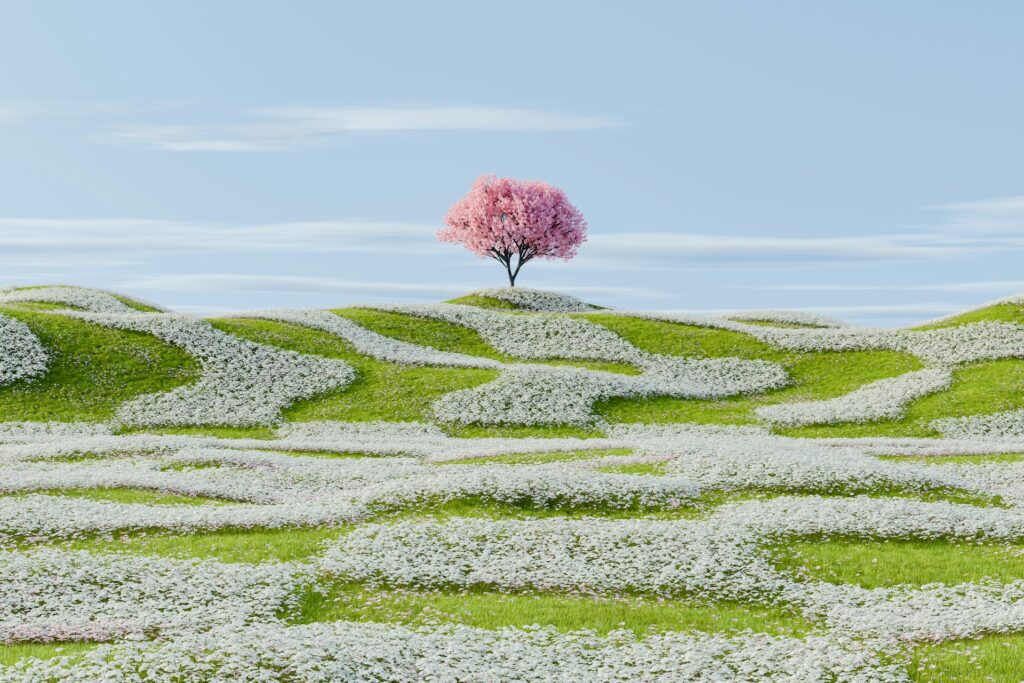 flowering tree in a grassy hilly area