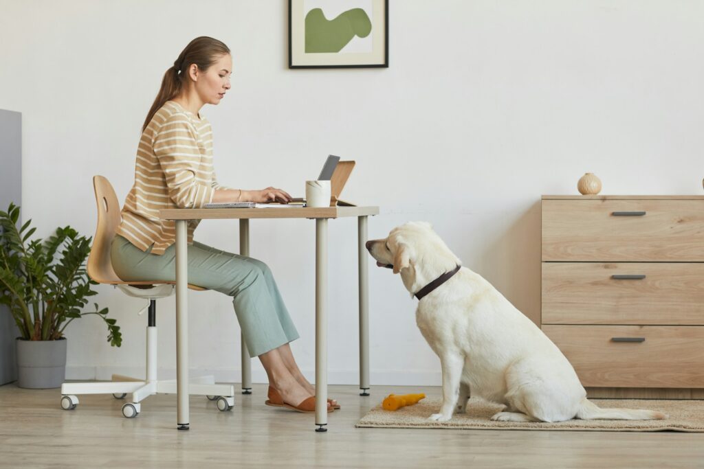 Busy woman working at desk and her dog wants to play