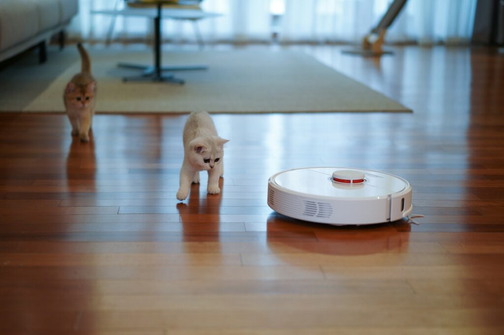 vacuum with kitties inspecting